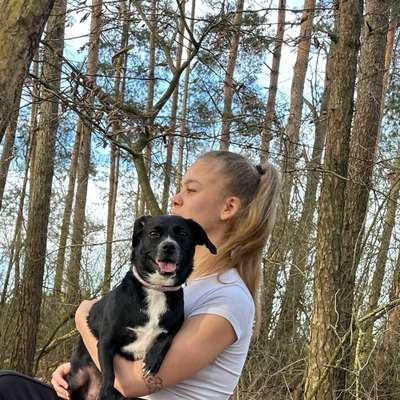 Hundetreffen-Lilly sucht Spielkameraden-Profilbild