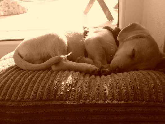 Foto Challenge 3-Beitrag-Bild