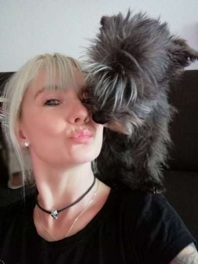 Küsschenbilder-Beitrag-Bild