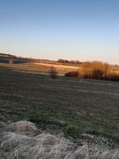 Hundeauslaufgebiet-Vogelar in Scherfede-Bild