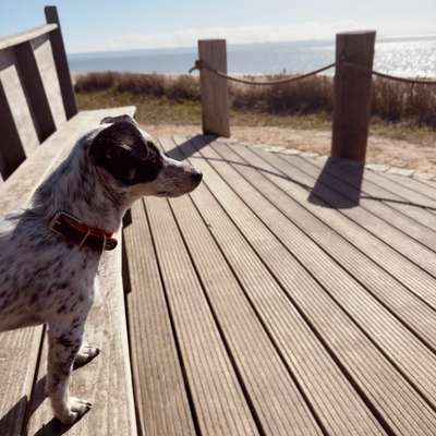 Erfahrungen Trainingsurlaub-Beitrag-Bild