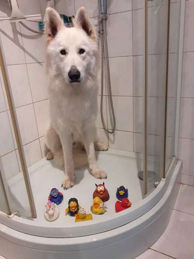 Fotochallenge 128-Beitrag-Bild