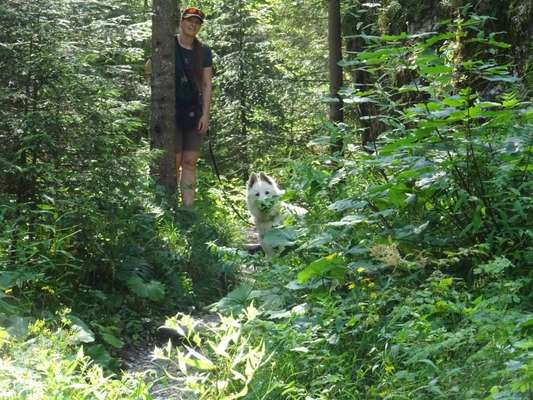 Dogorama Photo Challenge - Versteckspiel-Beitrag-Bild