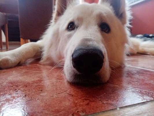 25. Handy Foto Challenge-Beitrag-Bild