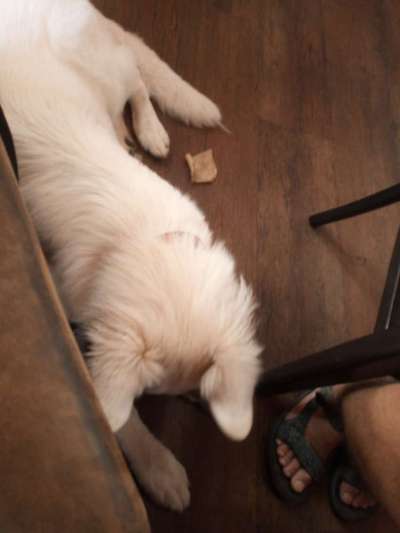 Impulskontrolle Challenge Nr.: 7
         "Gesellschaftsfähig"-Beitrag-Bild