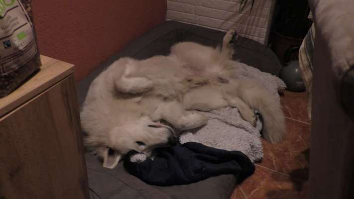 28. Handy-Fotochallenge - Damals und heute-Beitrag-Bild