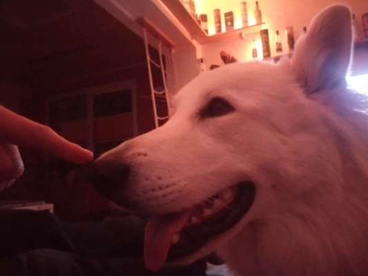 Hier ist der Spaßthread. Zum Schmunzeln und Kaputtlachen-Beitrag-Bild