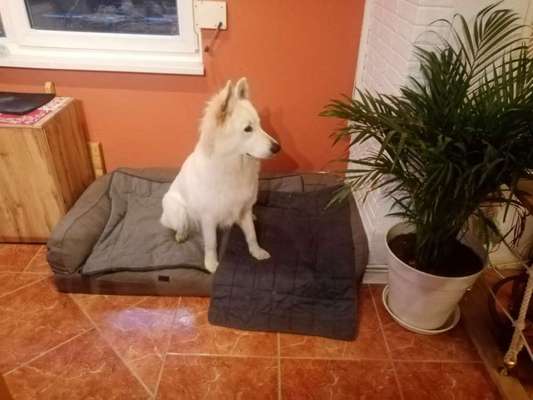 Außergewöhnliche Merkmale-Beitrag-Bild