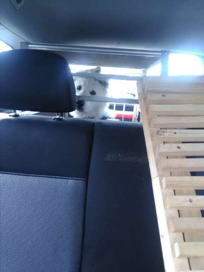 117. Fotochallenge-Beitrag-Bild