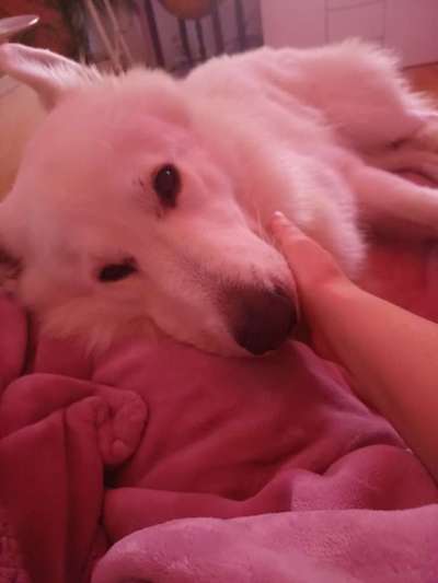 Was hat euch heute gefreut?-Beitrag-Bild