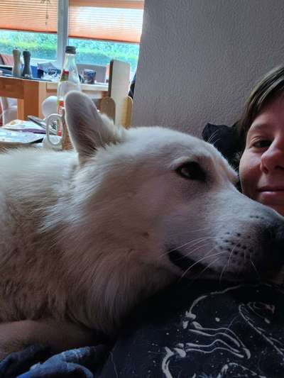 Freddys Kummerkasten-Beitrag-Bild