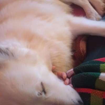 82. Trickspiel : Bleib!-Beitrag-Bild