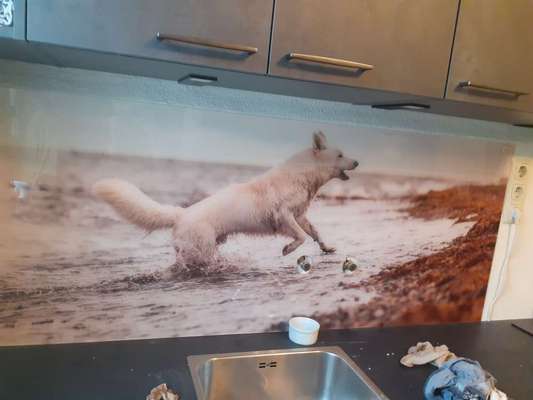 Was hat euch heute gefreut?-Beitrag-Bild