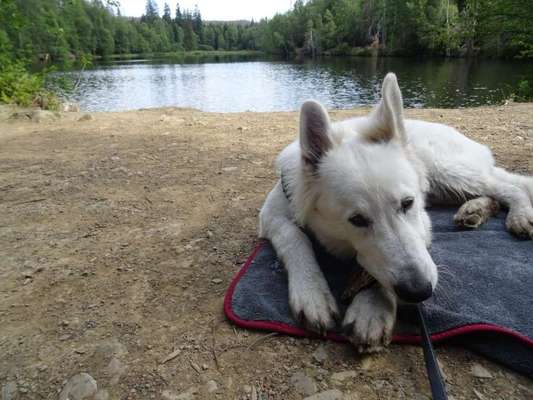 Theos Fotochallange Nummer 4-Beitrag-Bild