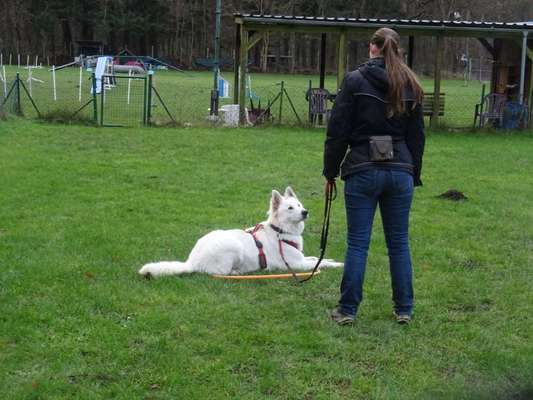 41. Handy Fotochallenge - Euer gemeinsames Hobby-Beitrag-Bild