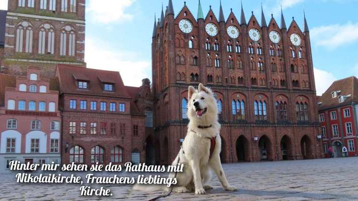 5. Kurzgeschichten Challenge
      Stadtführung-Beitrag-Bild