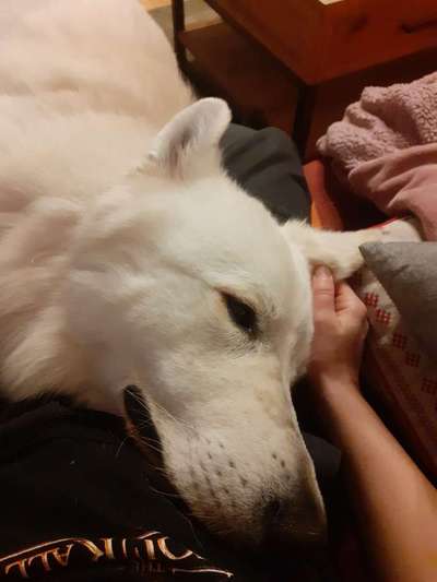 Was hat euch heute gefreut?-Beitrag-Bild