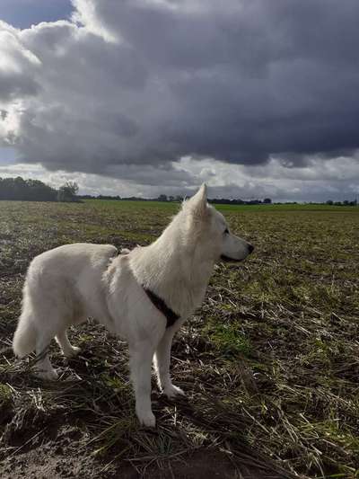 Was hat euch heute gefreut?-Beitrag-Bild