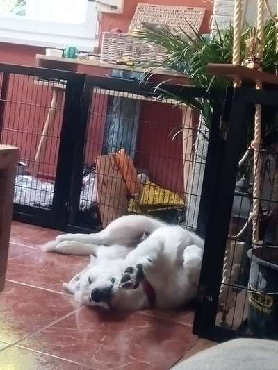 Foto Challenge Nr. 134-Beitrag-Bild