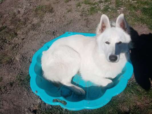 Fotochallenge 129-Beitrag-Bild