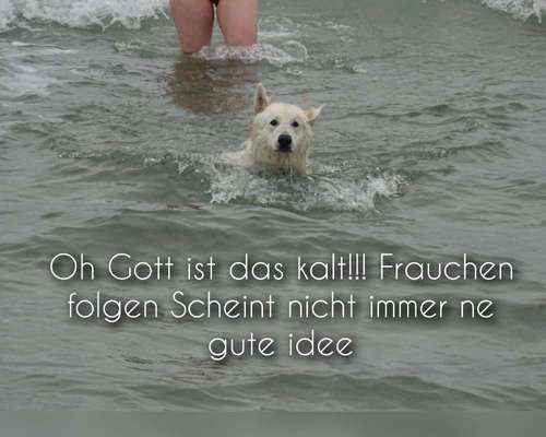 2.Kurzgeschichten Challenge Thema: Autofahren-Beitrag-Bild