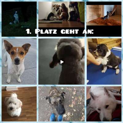 Veteranenzone - Koffer packen für fortgeschrittene-Beitrag-Bild