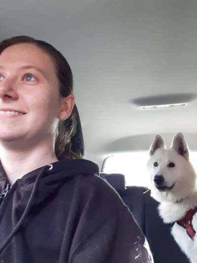 25. gemeinsame Impulskontrolle Übung: Auto fahren-Beitrag-Bild