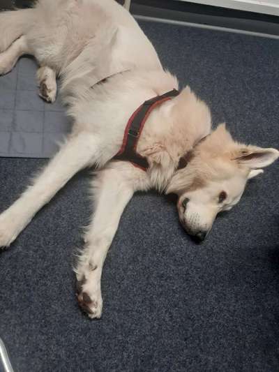 Was hat euch heute gefreut?-Beitrag-Bild