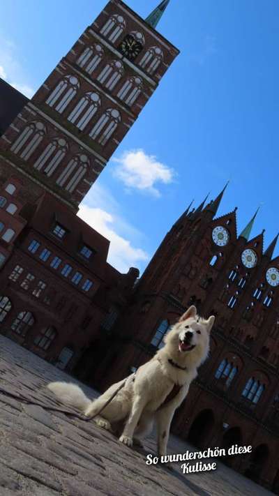 5. Kurzgeschichten Challenge
      Stadtführung-Beitrag-Bild