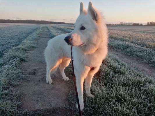 17. Farben Foto Challenge: Pastellfarben-Beitrag-Bild