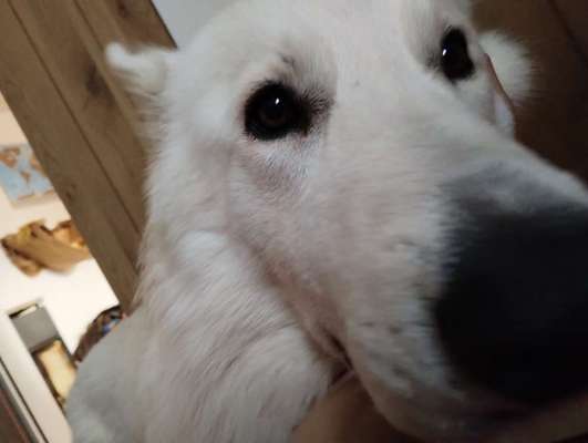 150. Foto Challaenge:  Die Augen, der Spiegel der Seele-Beitrag-Bild