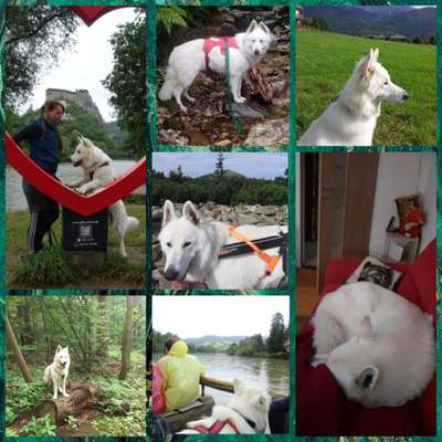 48. Collagen Challenge: Das Leben ist bunt-Beitrag-Bild