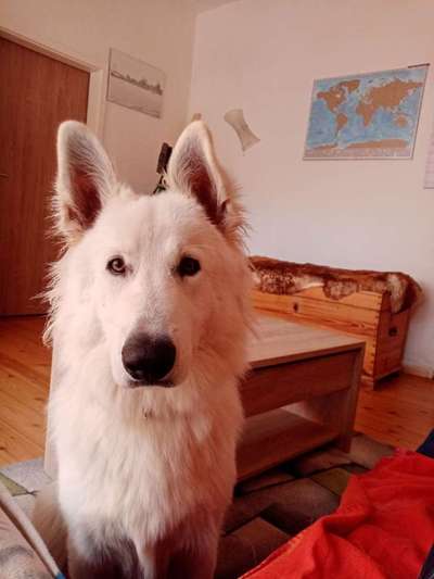 Außergewöhnliche Merkmale-Beitrag-Bild