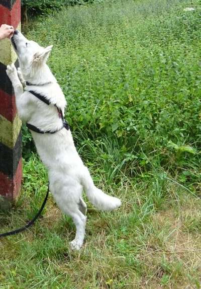 Farben Fotochallenge Thema ,,Grün"-Beitrag-Bild