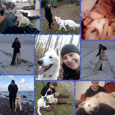 21. Collage Challenge 
Du und dein Hund-Beitrag-Bild