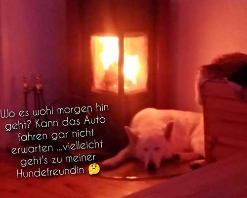 2.Kurzgeschichten Challenge Thema: Autofahren-Beitrag-Bild