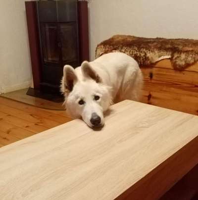 Bettel Blicke-Beitrag-Bild