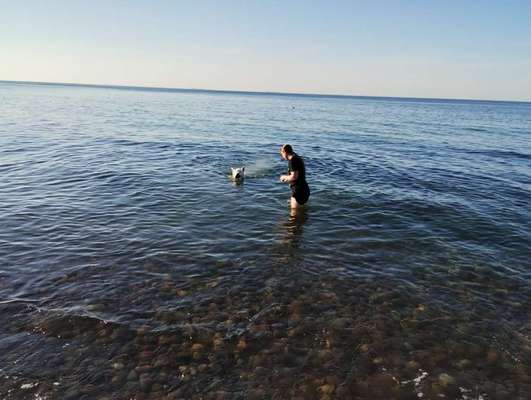 65. Handy Foto Challange                     "Ich kann nicht ohne..."-Beitrag-Bild