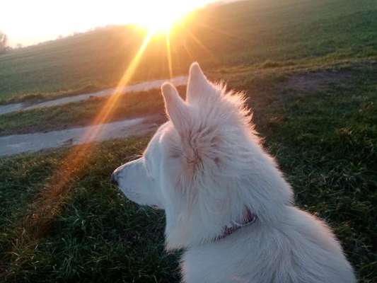 Außergewöhnliche Merkmale-Beitrag-Bild