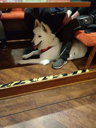 Impulskontrolle Challenge Nr.: 7
         "Gesellschaftsfähig"-Beitrag-Bild