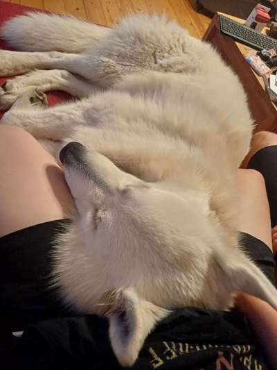 Was hat euch heute gefreut?-Beitrag-Bild