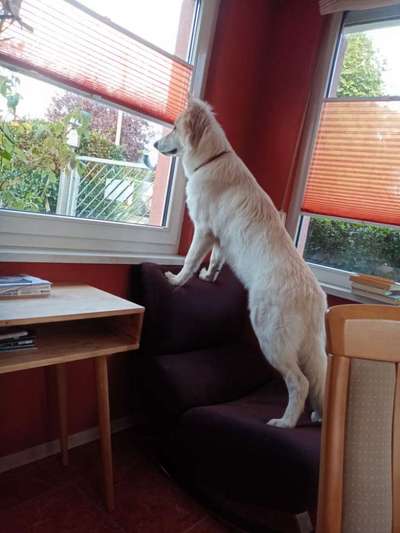 120. Fotochallenge-Beitrag-Bild