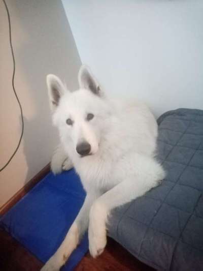 149. Foto Challenge: Wer ist hier der Boss!-Beitrag-Bild