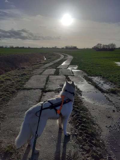 Was hat euch heute gefreut?-Beitrag-Bild