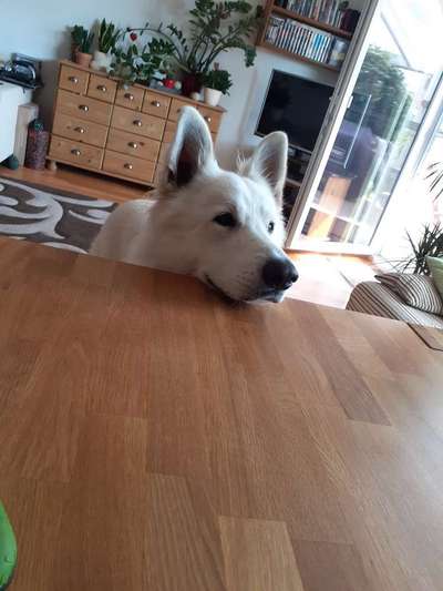 147. Foto Challenge: Bettelblick-Beitrag-Bild