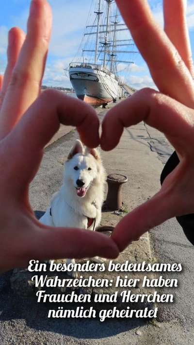 5. Kurzgeschichten Challenge
      Stadtführung-Beitrag-Bild