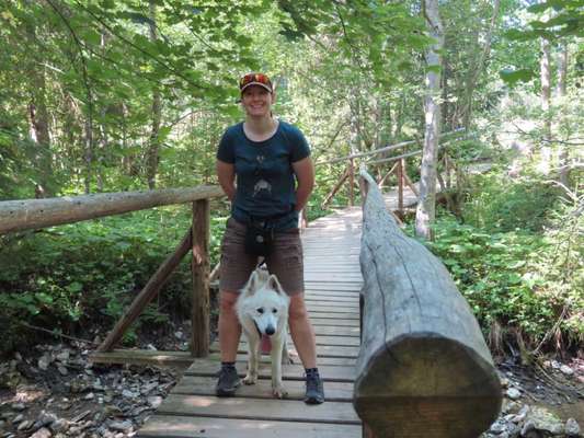 Foto Challenge Thema "Brücke"-Beitrag-Bild