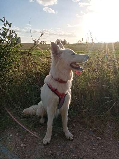 Herbst Bilder-Beitrag-Bild