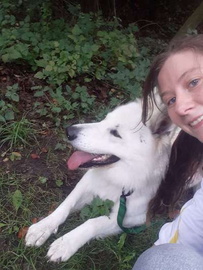 Was hat euch heute gefreut?-Beitrag-Bild