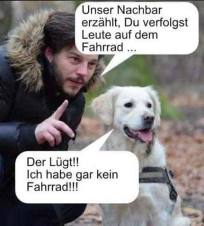Hunde Memes-Beitrag-Bild